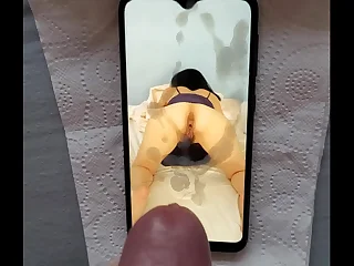 11858 pussy porn videos